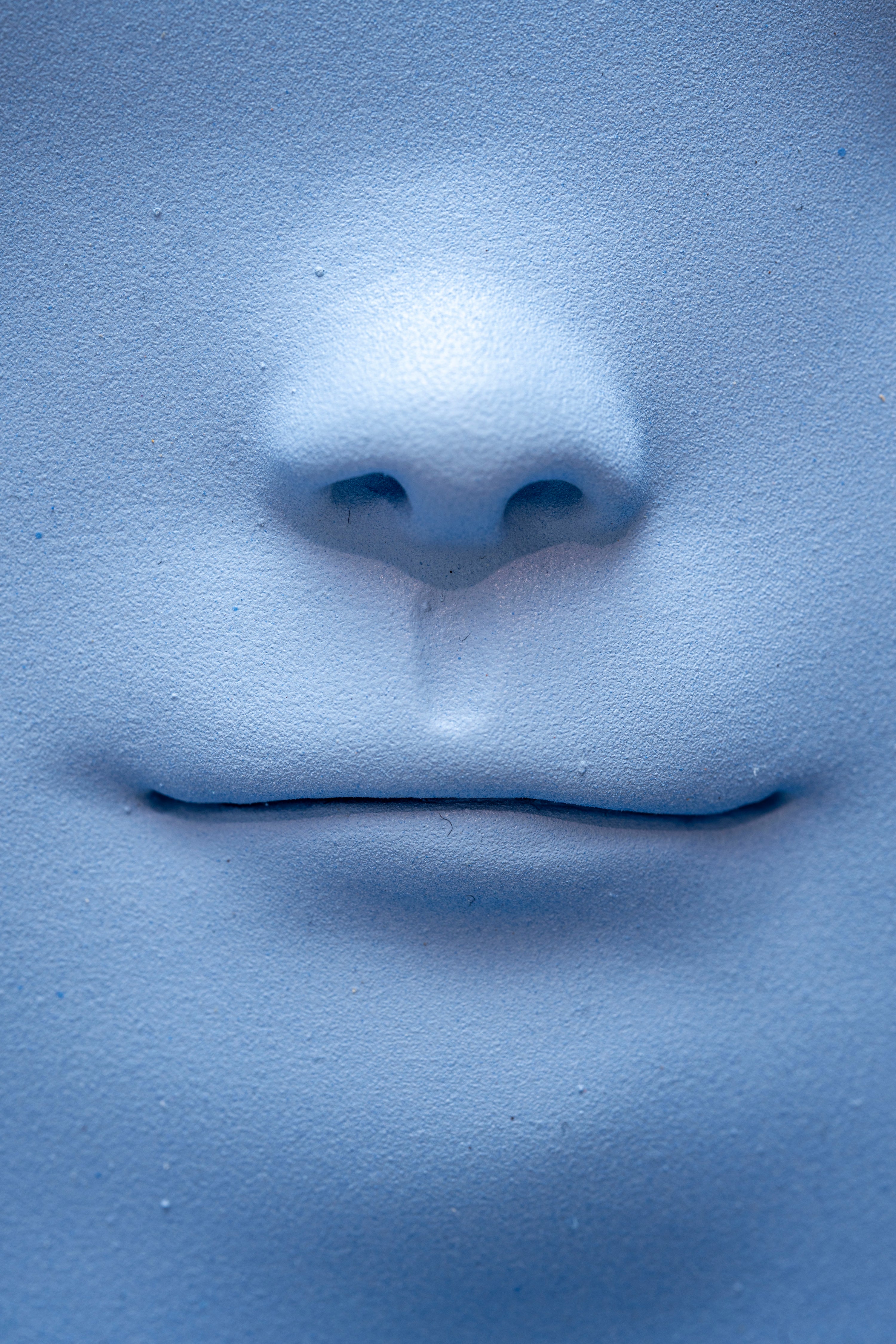 Clémentine BAL - Le Petit Ami