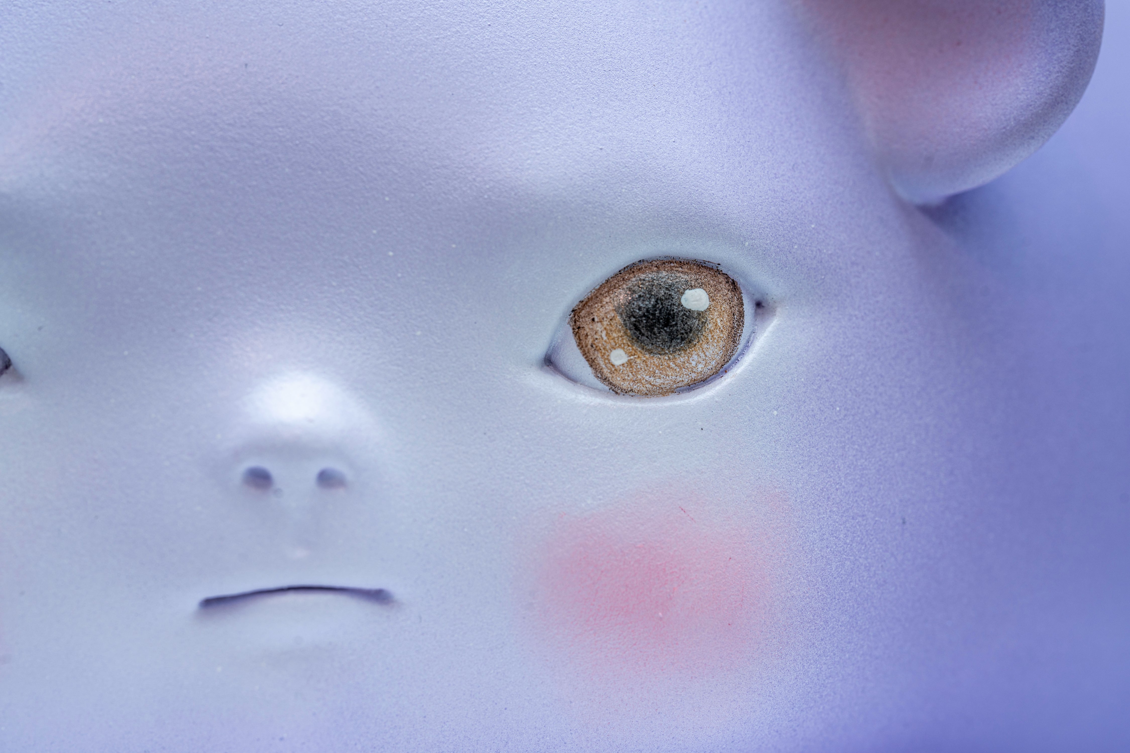 Clémentine BAL - Les Animaux