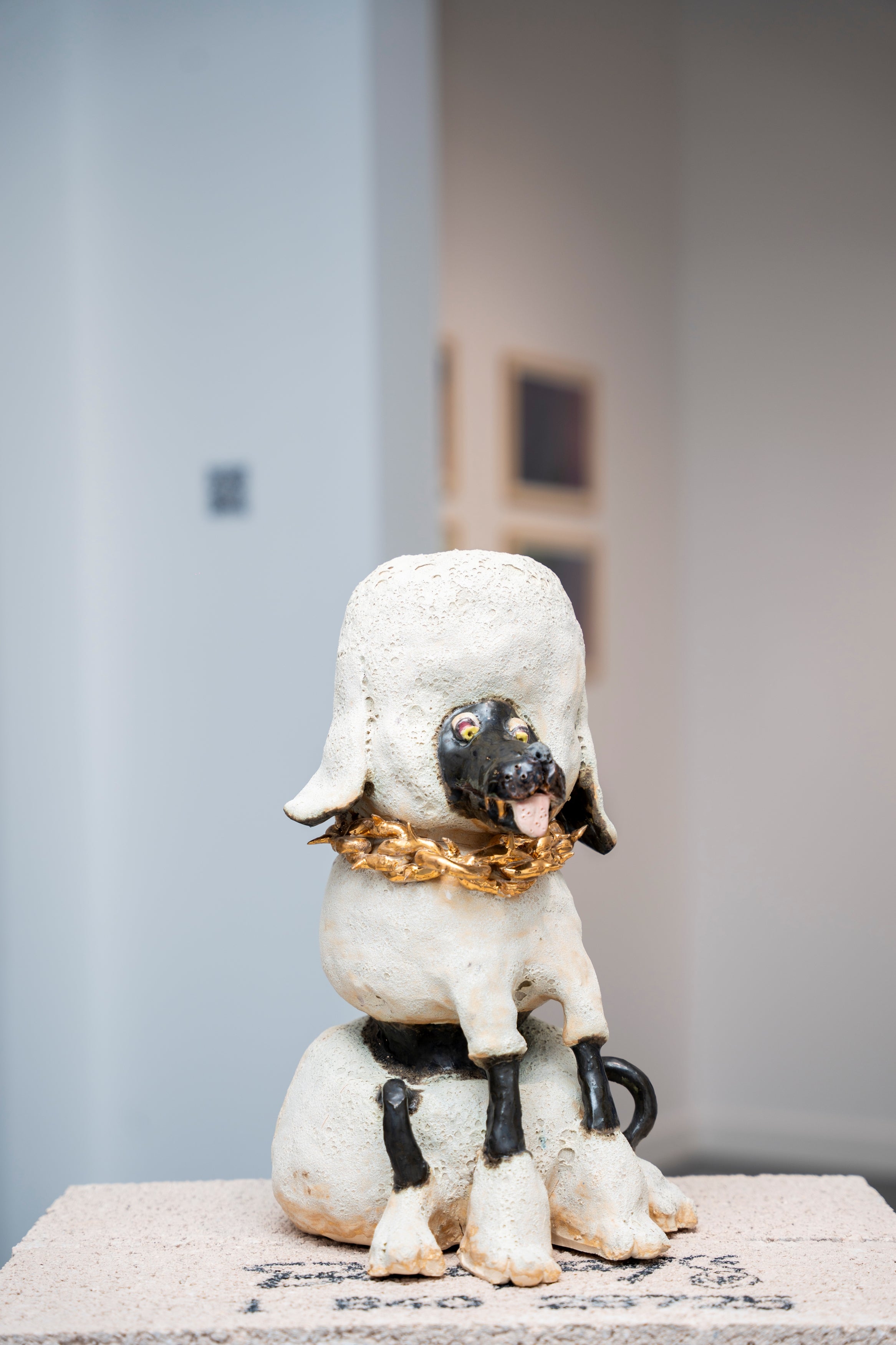 Théo Ouaki - Caniche Royal