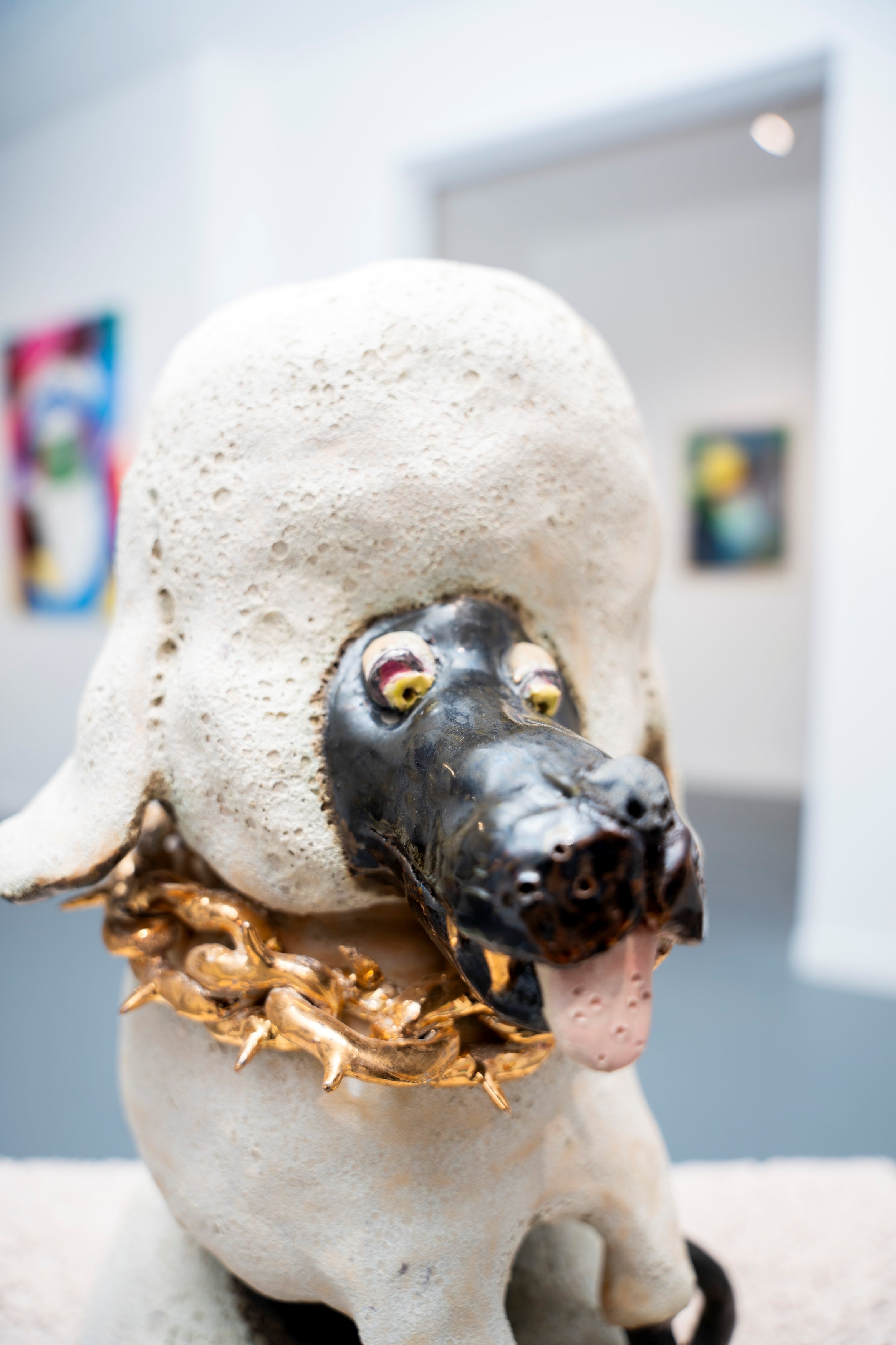 Théo Ouaki - Caniche Royal